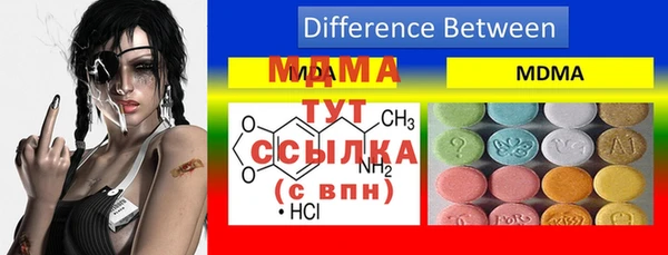 стафф Богданович