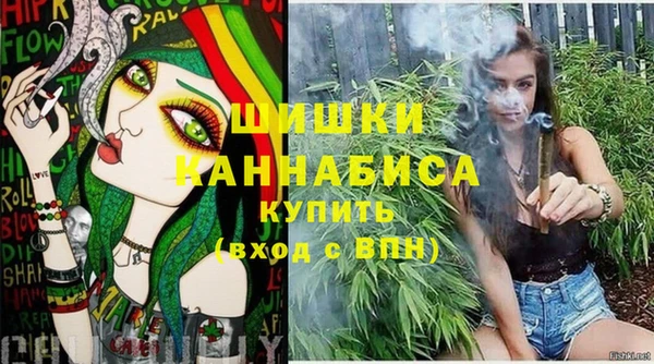 дживик Балахна