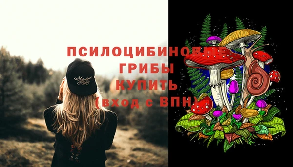дживик Белоозёрский