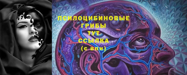 дживик Балахна