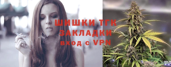 дживик Балахна