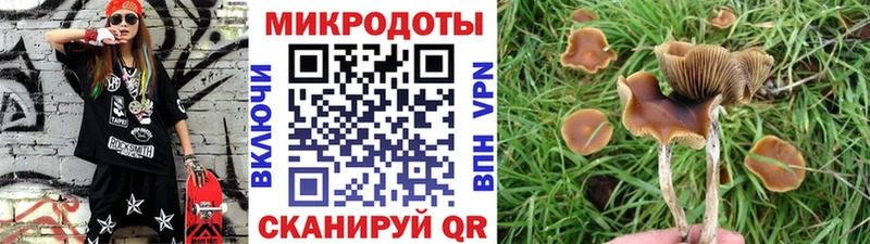 цена наркотик Гаврилов-Ям kraken как войти Псилоцибиновые грибы ЛСД